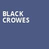 Black Crowes, Queen Elizabeth Theatre, Vancouver