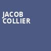 Jacob Collier, Queen Elizabeth Theatre, Vancouver