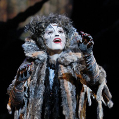 Cats at the Queen Elizabeth Theatre Vancouver