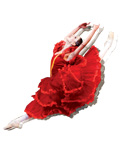 National Ballet of Cuba: Don Quixote at the Queen Elizabeth Theatre Vancouver, Vancouver