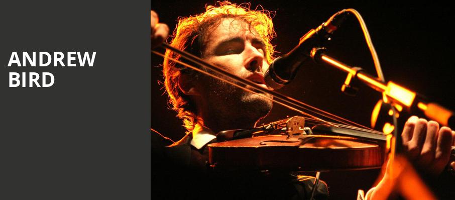 Andrew Bird, Centre In Vancouver For Performing Arts, Vancouver