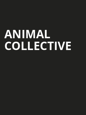 Animal Collective, Vogue Theatre, Vancouver