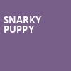 Snarky Puppy, Commodore Ballroom, Vancouver