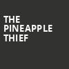 The Pineapple Thief, Rickshaw Theatre, Vancouver