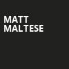 Matt Maltese, Hollywood Theatre, Vancouver